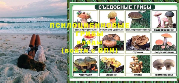 шишки Яранск