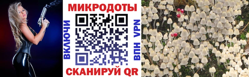 Псилоцибиновые грибы MAGIC MUSHROOMS  Воркута 
